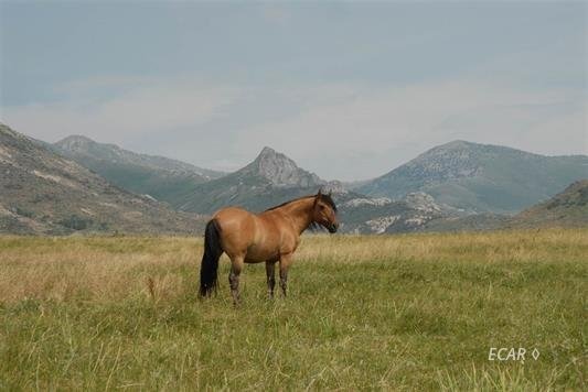 18 Smith Creek Road Spring Creek, NV 89815 - Photo 3 of 8 Gallery Image 3