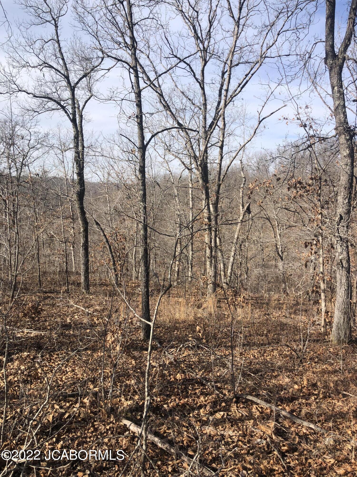 Tbd Broads Branch Road Macks Creek, MO 65786 - Photo 12 of 18
