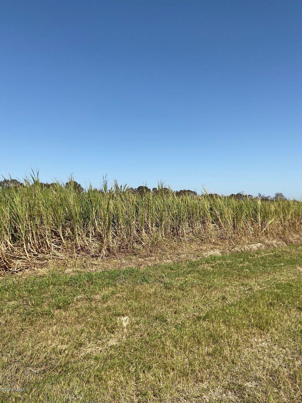 1 North Road Erath, LA 70533 - Photo 2 of 2 Tract 1