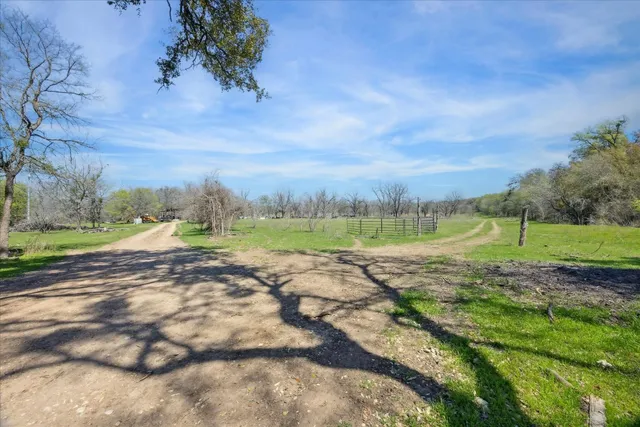 a view of a yard with large tree