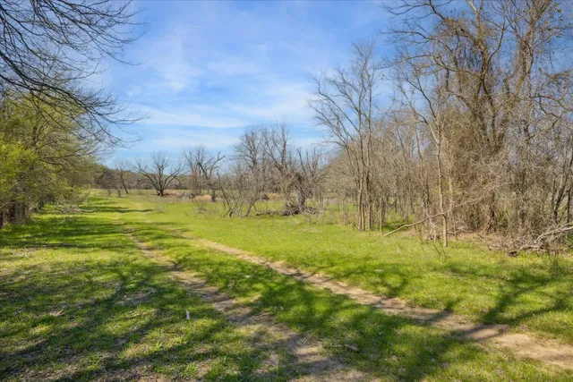 a view of outdoor space with trees all around