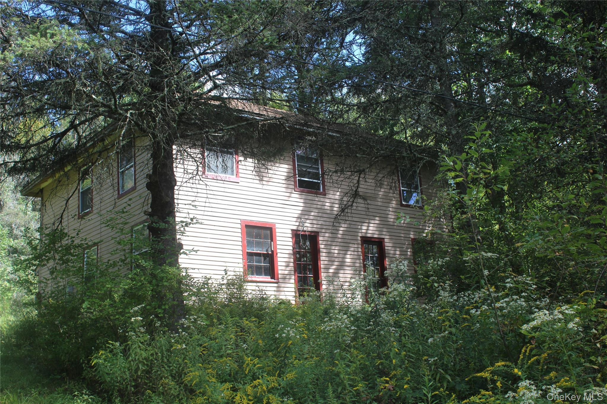 1934 Morton Hill Road Roscoe, NY 12776 - Photo 2 of 19 a view of a house with a tree