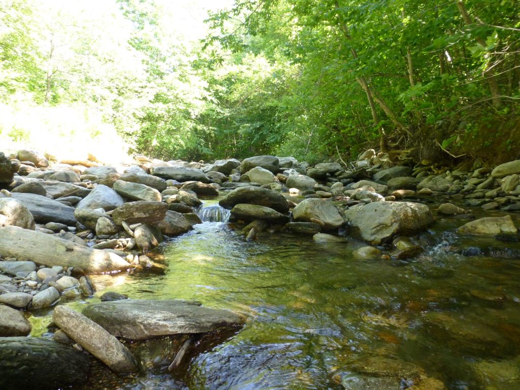 365 West Jay Road Jay, VT 05476 - Photo 22 of 32 Gallery Image 22