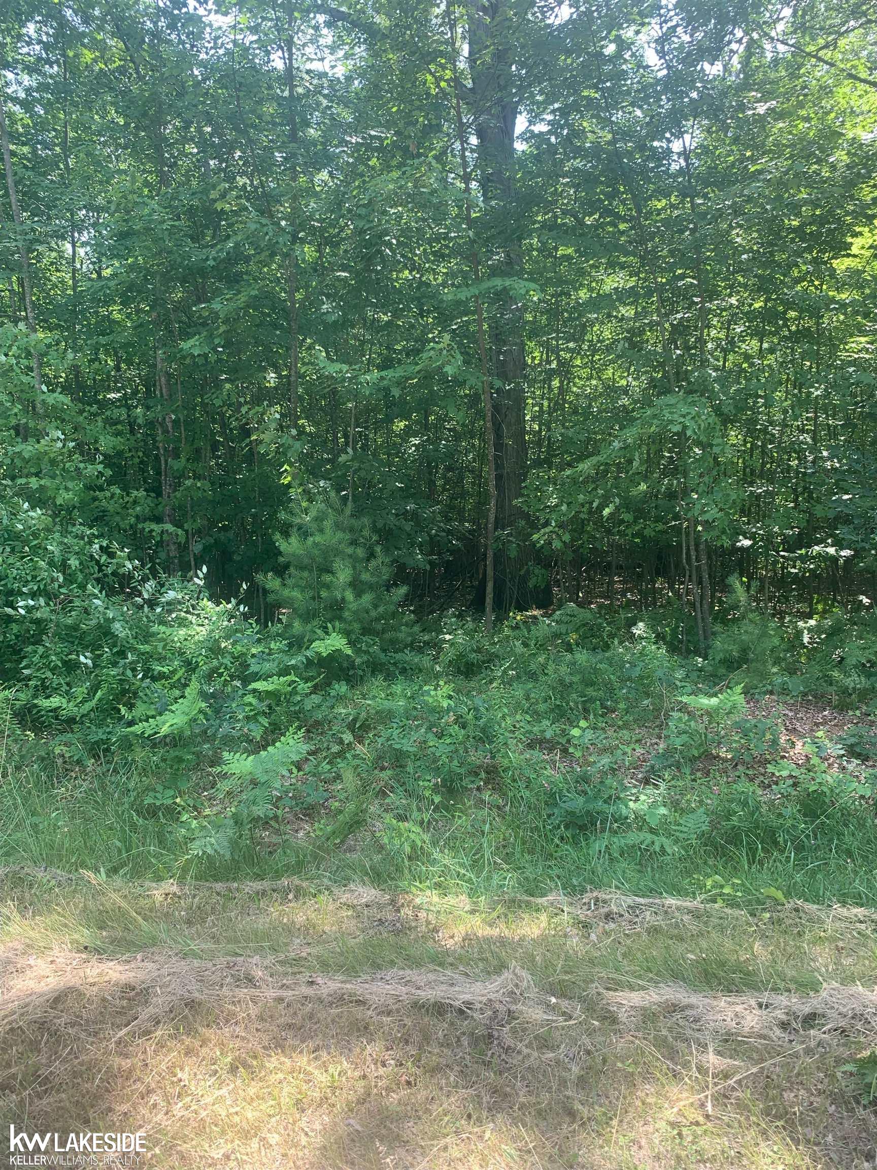 0 Hidden Hills Road Houghton Lake, MI 48629 - Photo 4 of 5