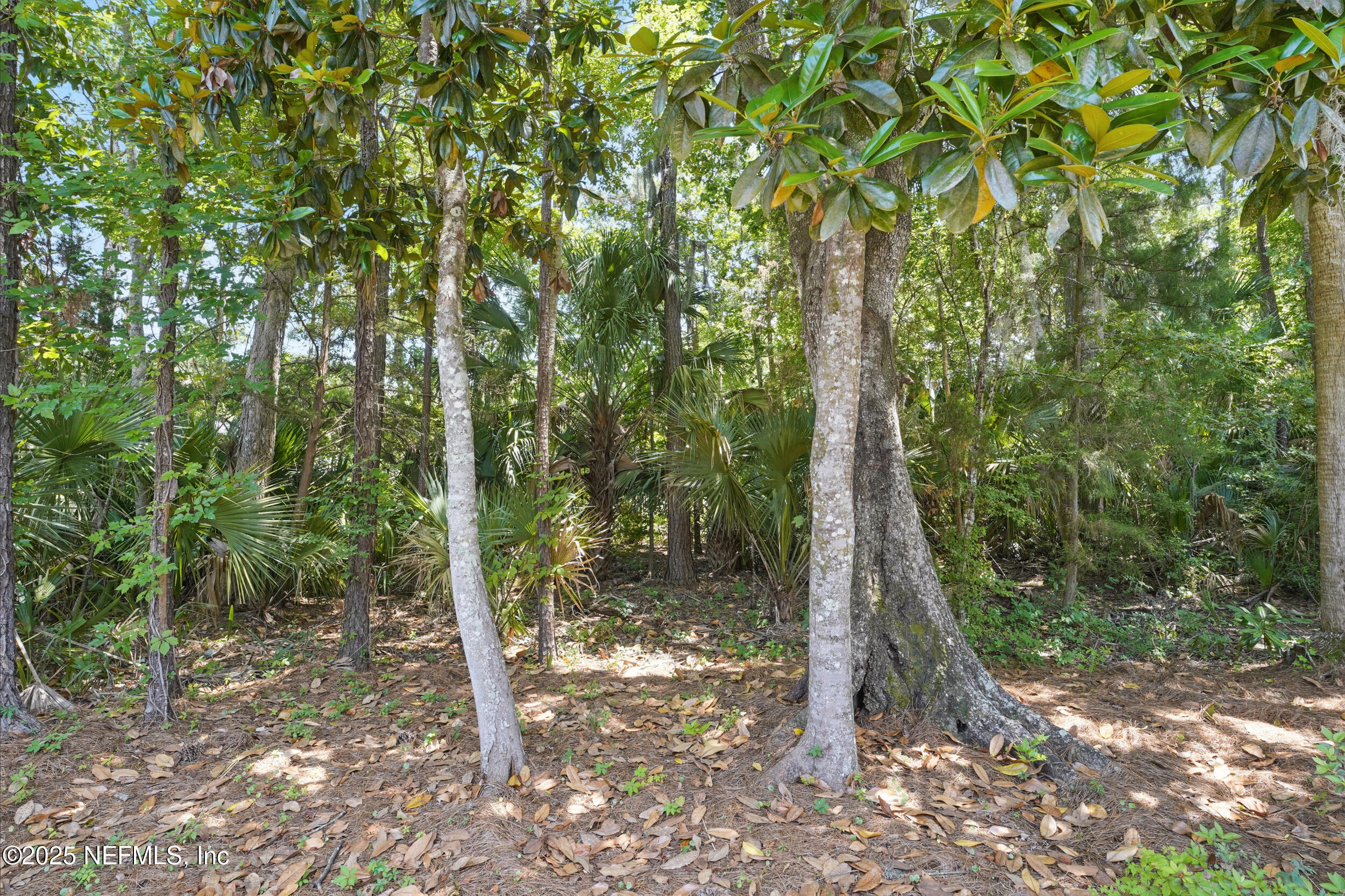 784 Mill Stream Road Ponte Vedra Beach, FL 32082 - Photo 29 of 37 Preserve View