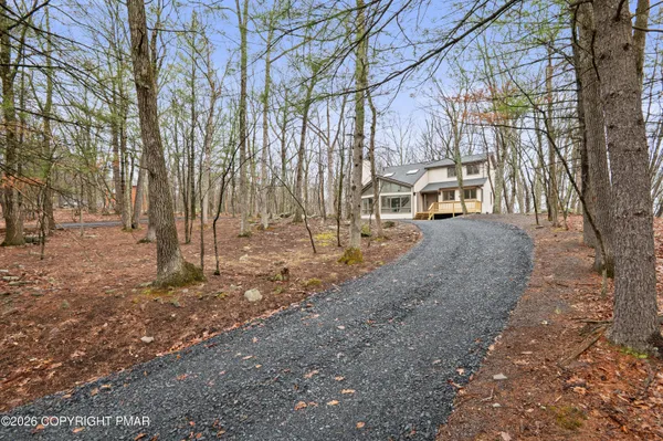 a view of a large yard with large tree