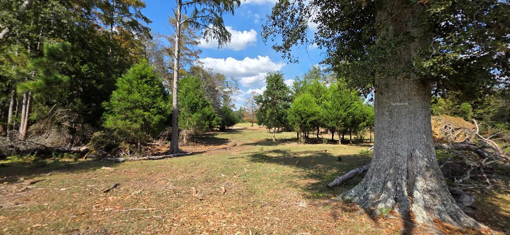 12.7-acres Nobles Road Dothan, AL 36301 - Photo 23 of 41