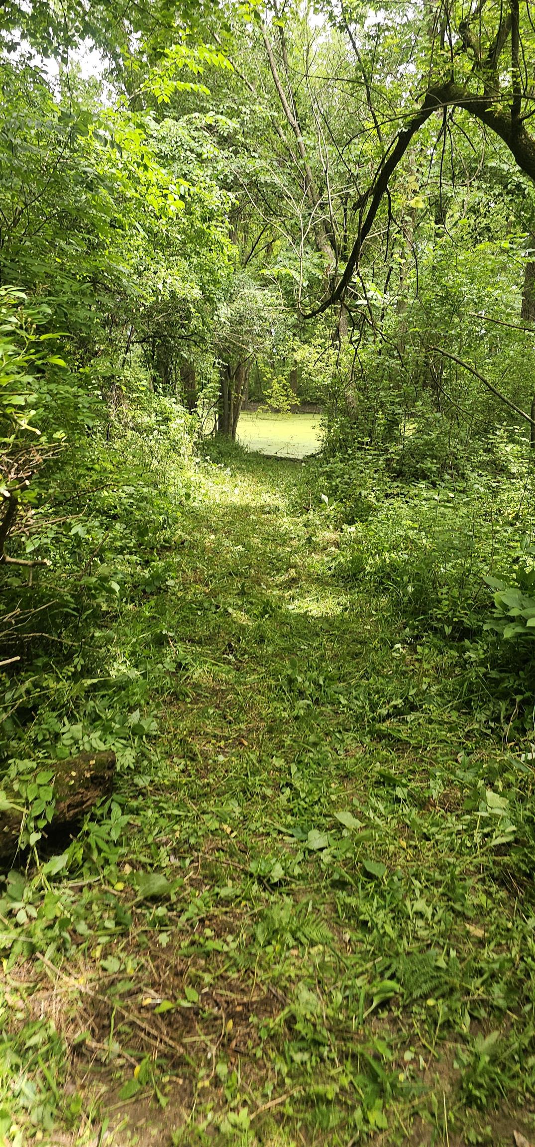 1770 County Rd Bh Highland, WI 53543 - Photo 32 of 34
