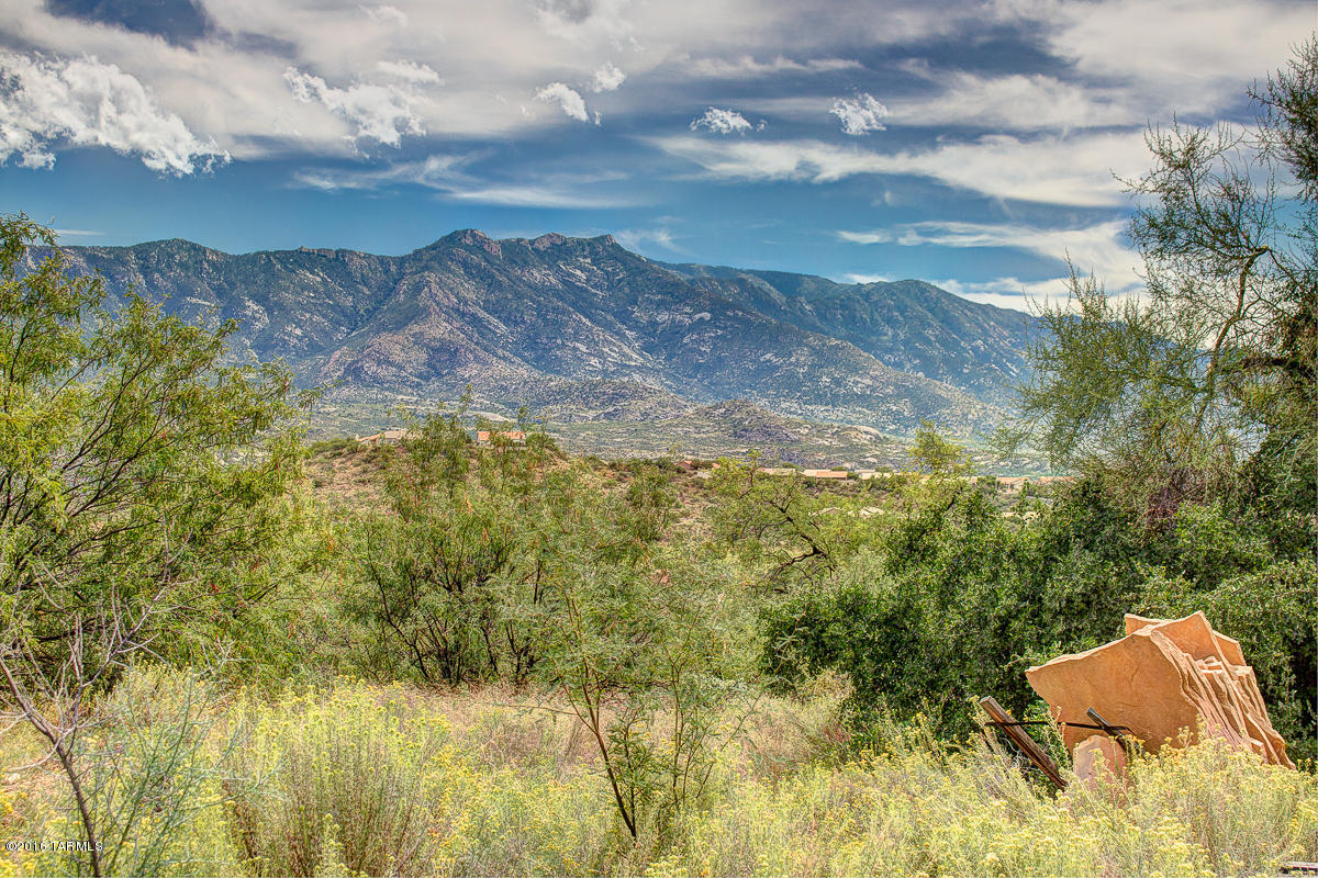 36435 South Lexi Way Tucson, AZ 85739 - Photo 44 of 50