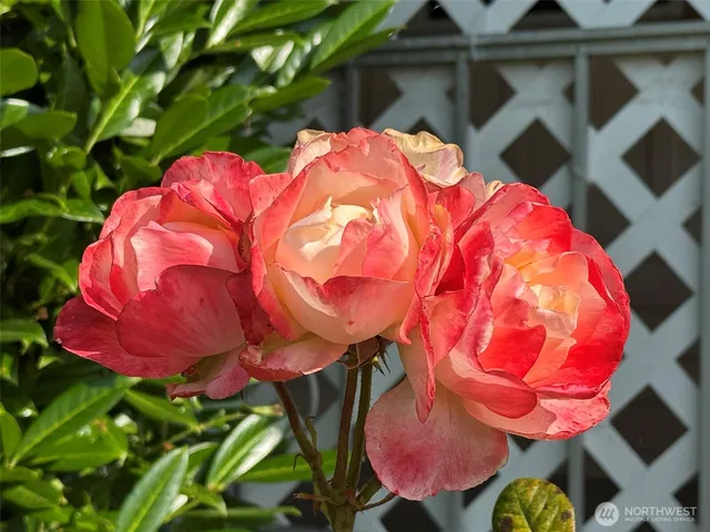 $72,000 | 610 West Spruce Street, Unit 116, Sequim, WA 98382