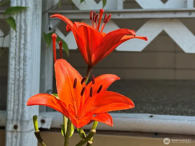 $72,000 | 610 West Spruce Street, Unit 116, Sequim, WA 98382