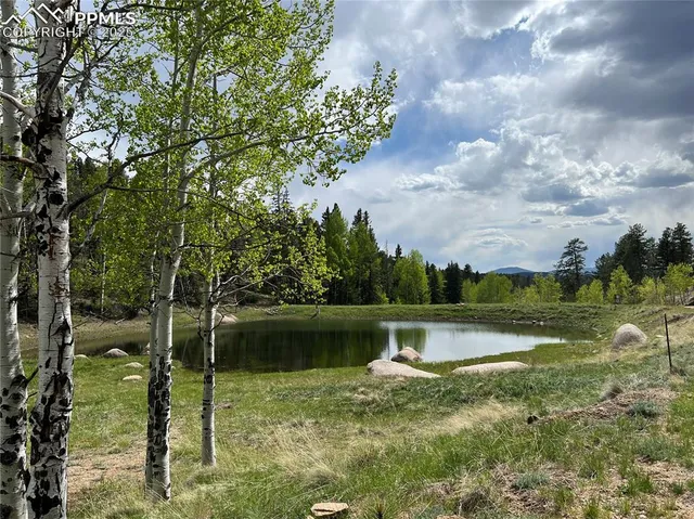 a view of outdoor space and yard