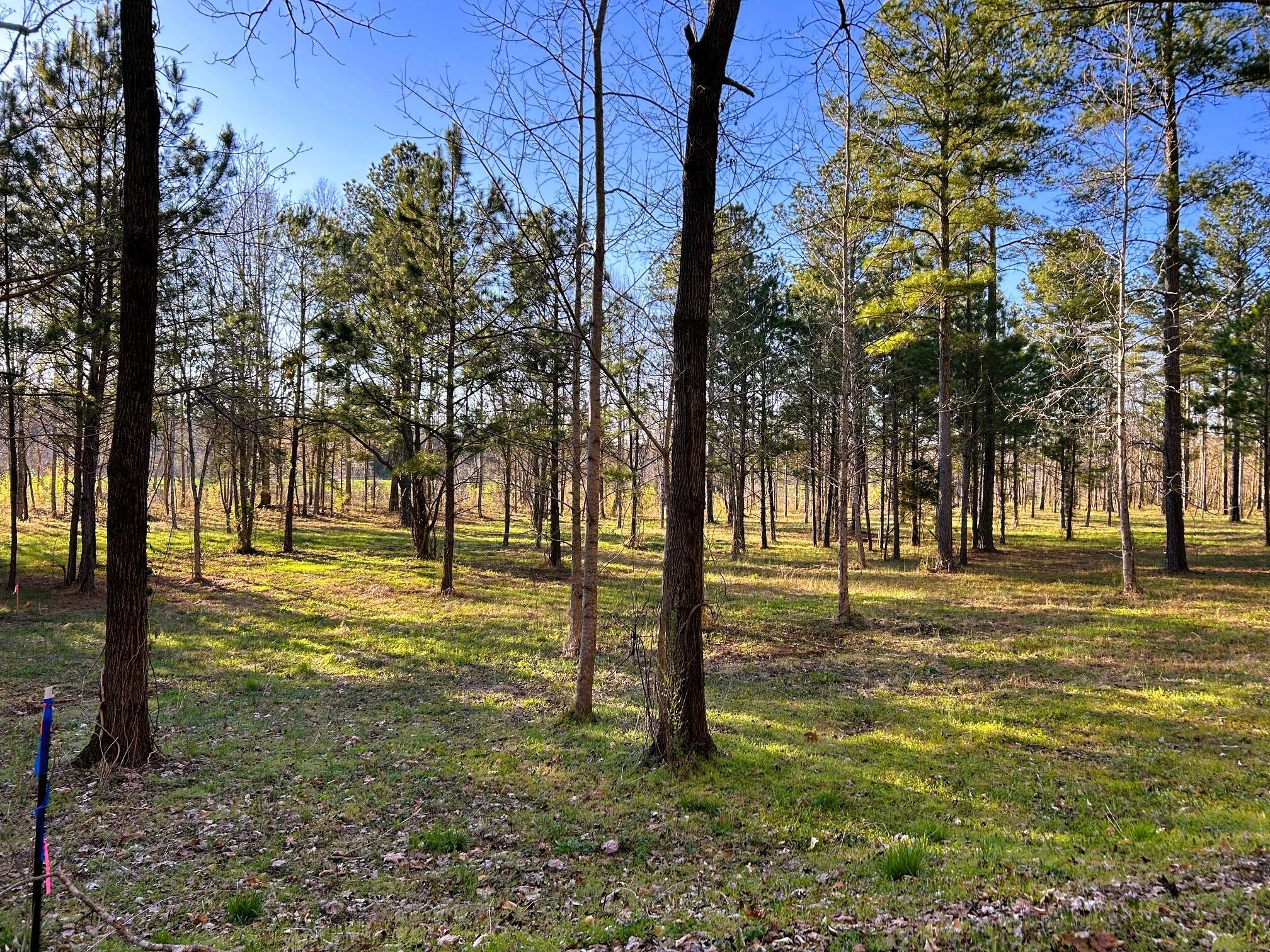 4 County Road 950 Charleston, TN 37310 - Photo 15 of 15