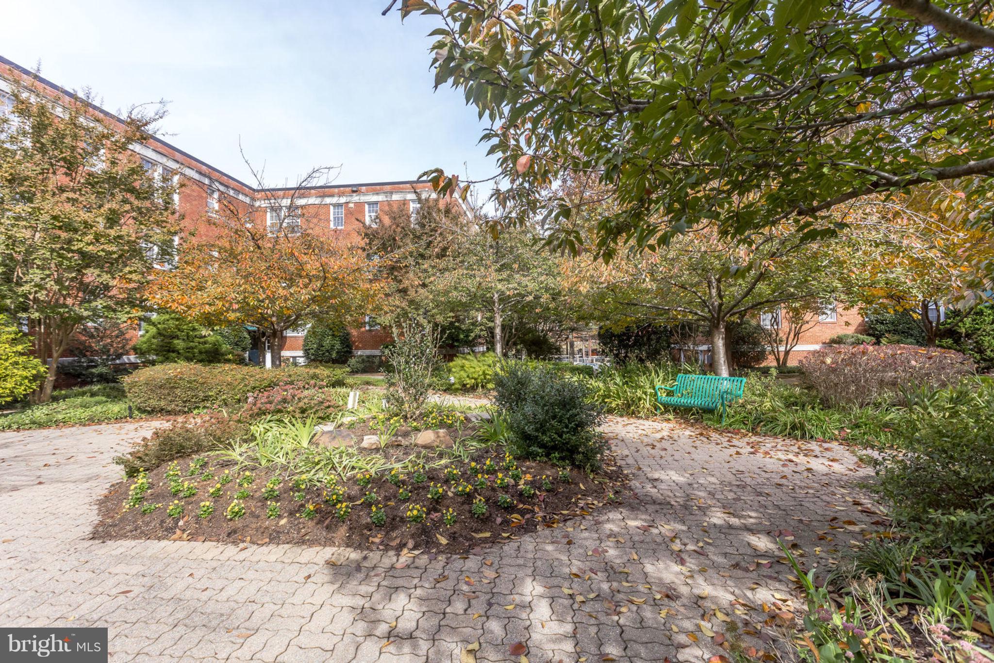 24 South Old Glebe Road, Unit 2C Arlington, VA 22204 - Photo 21 of 24 a view of a yard with plants and large trees