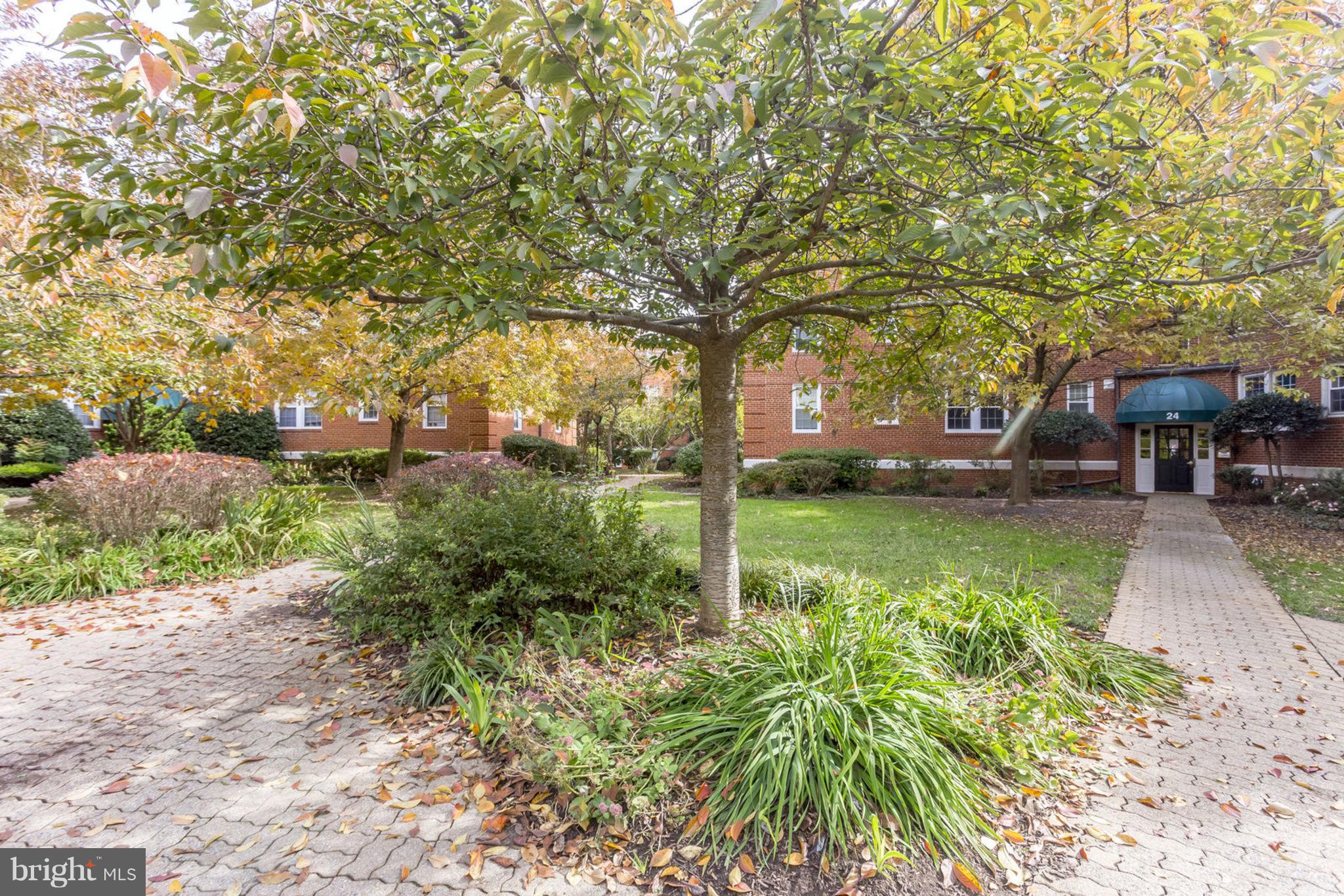 24 South Old Glebe Road, Unit 2C Arlington, VA 22204 - Photo 22 of 24 a view of yard with green space