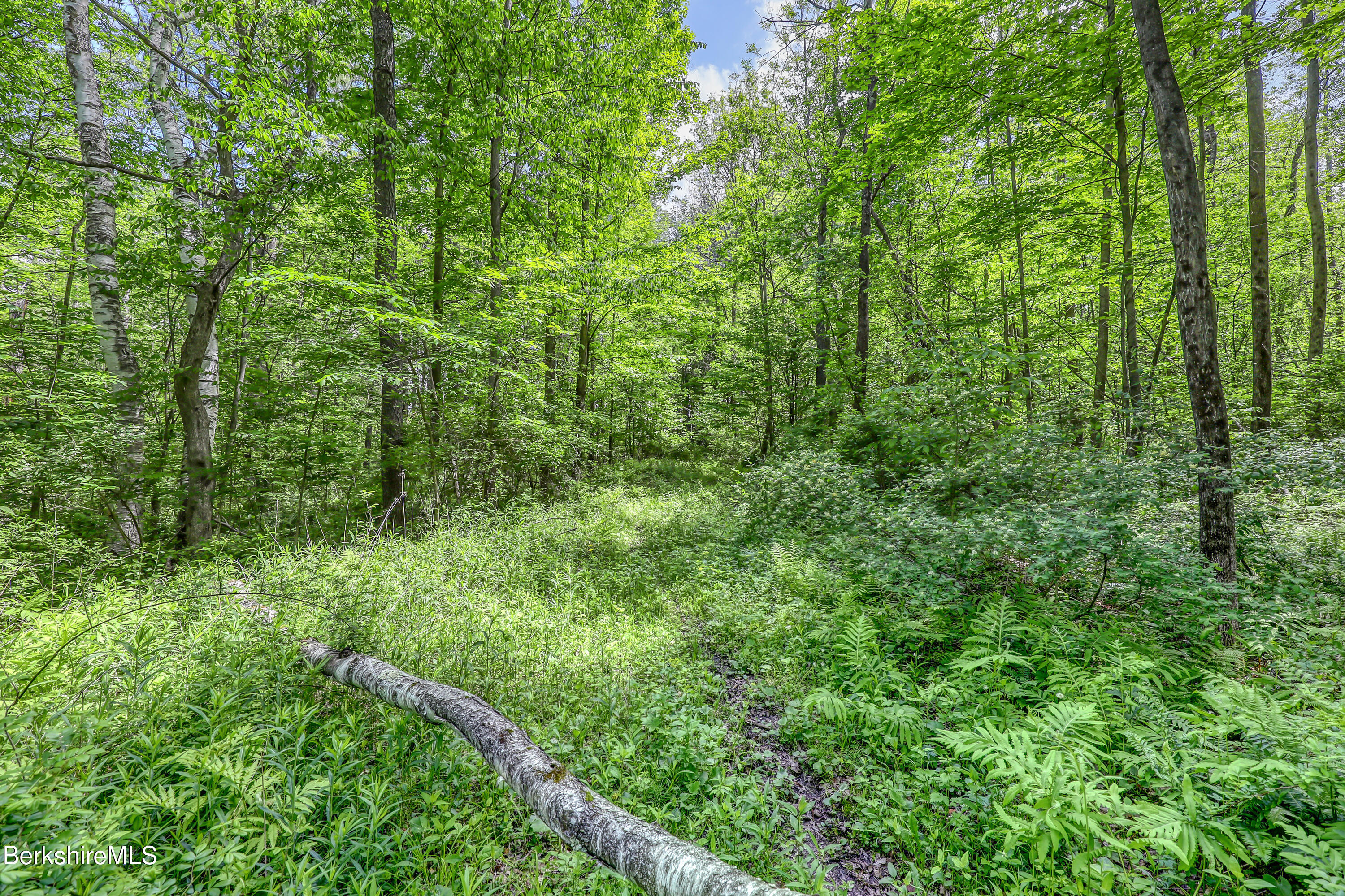 23 Stormview Road Lanesborough, MA 01237 - Photo 4 of 5 20