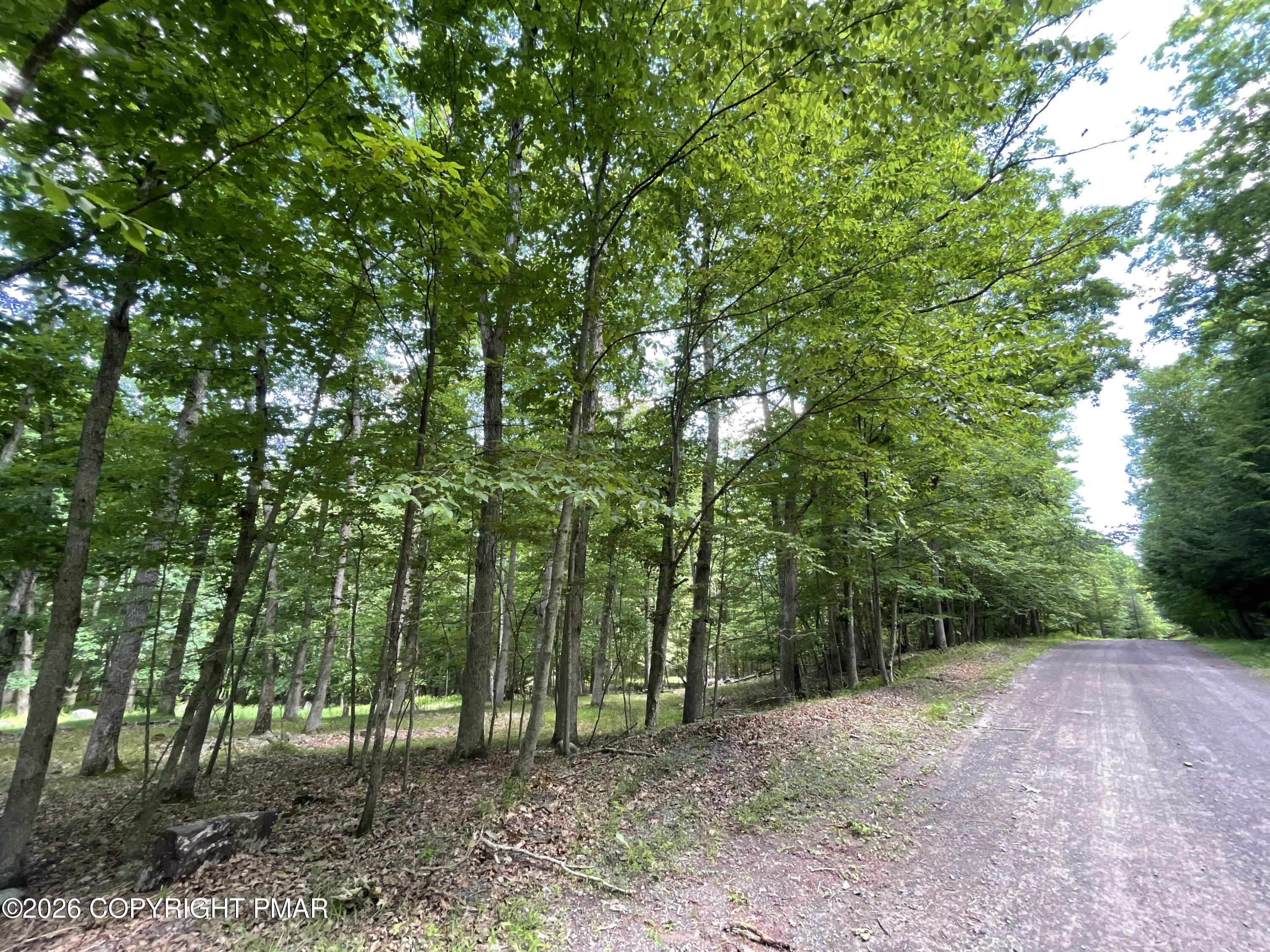 252 Mud Run Road Cresco, PA 18326 - Photo 6 of 7 Road frontage