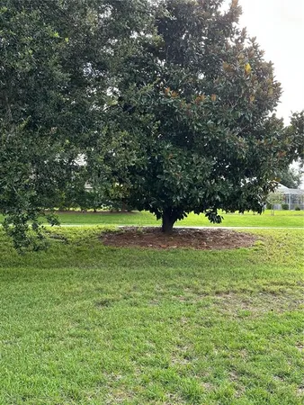 a view of a green field