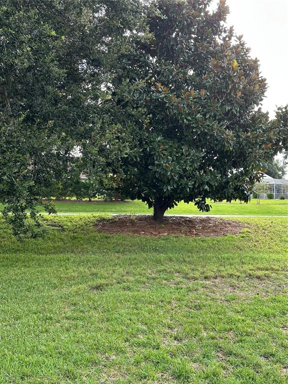 917 Camino Del Rey Drive Lady Lake, FL 32159 - Photo 3 of 46 a view of a green field