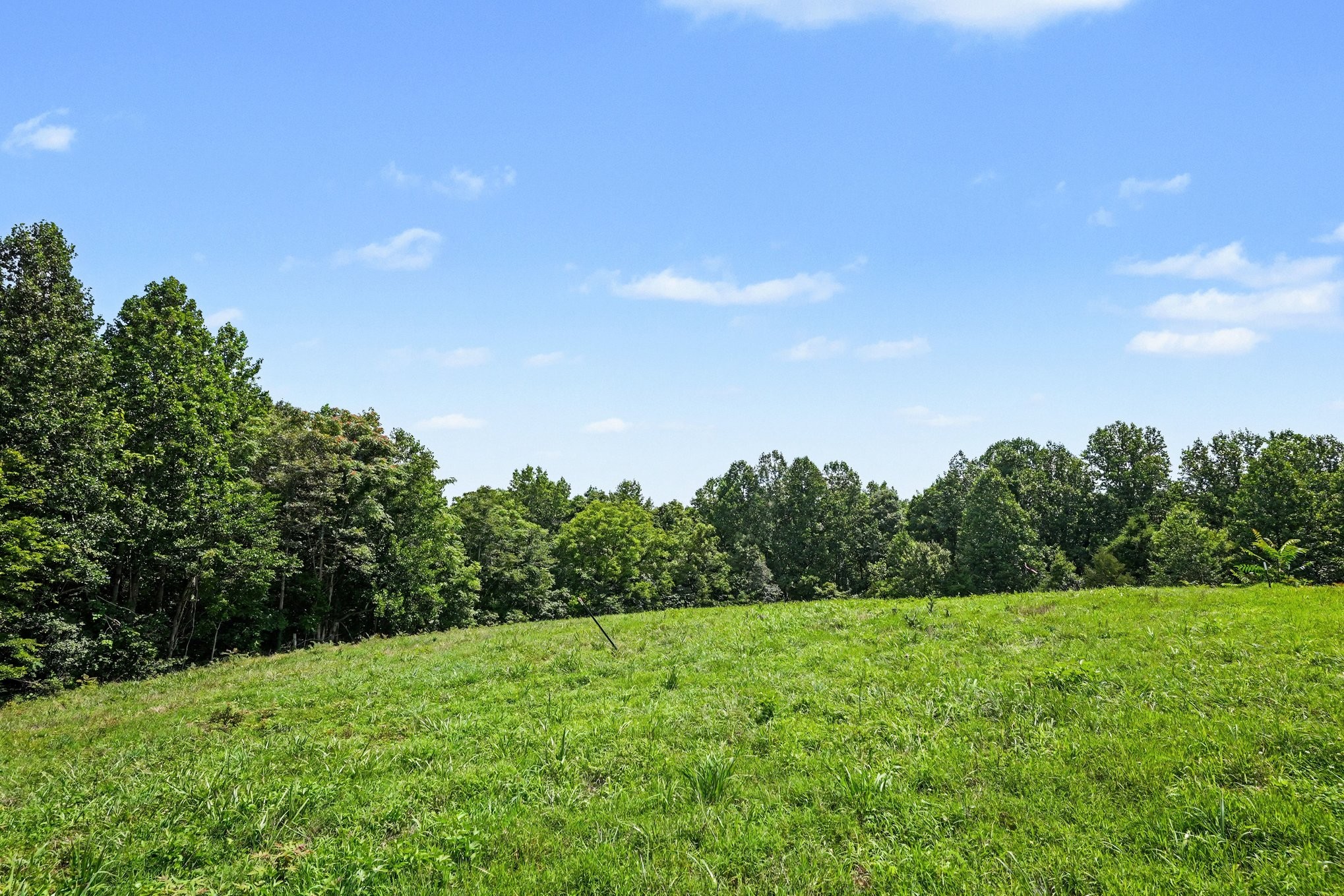 609 Stacy Road White Bluff, TN 37187 - Photo 25 of 36