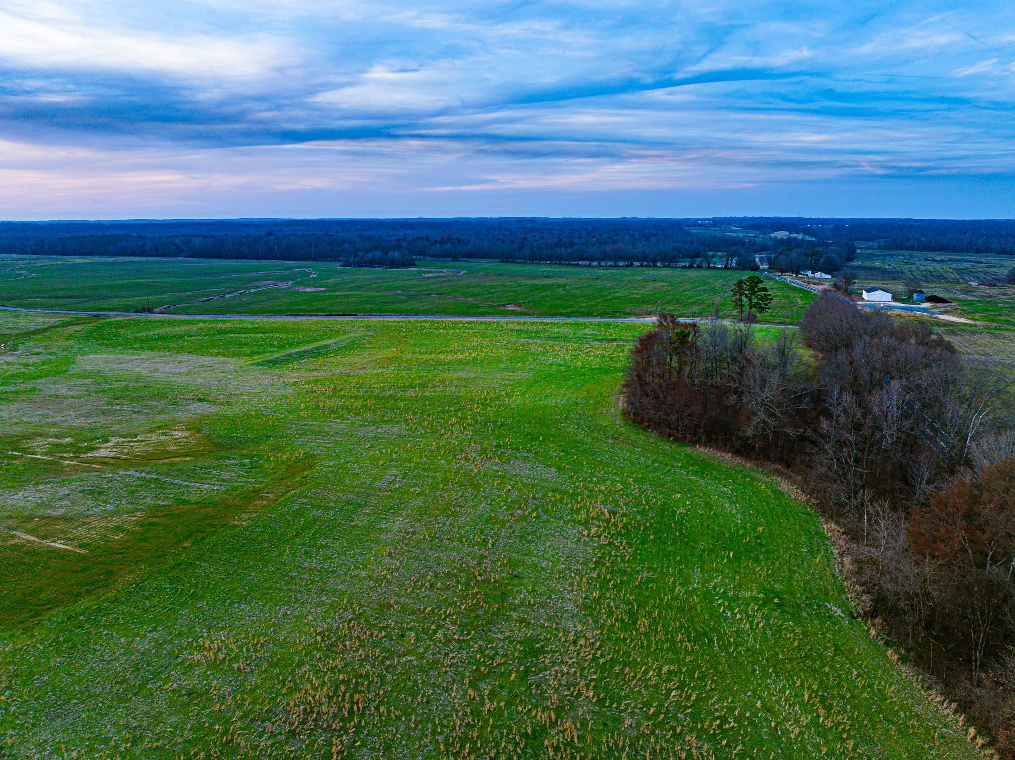 0 Como & Mckenzie Road McKenzie, TN 38201 - Photo 12 of 16 View of rural area