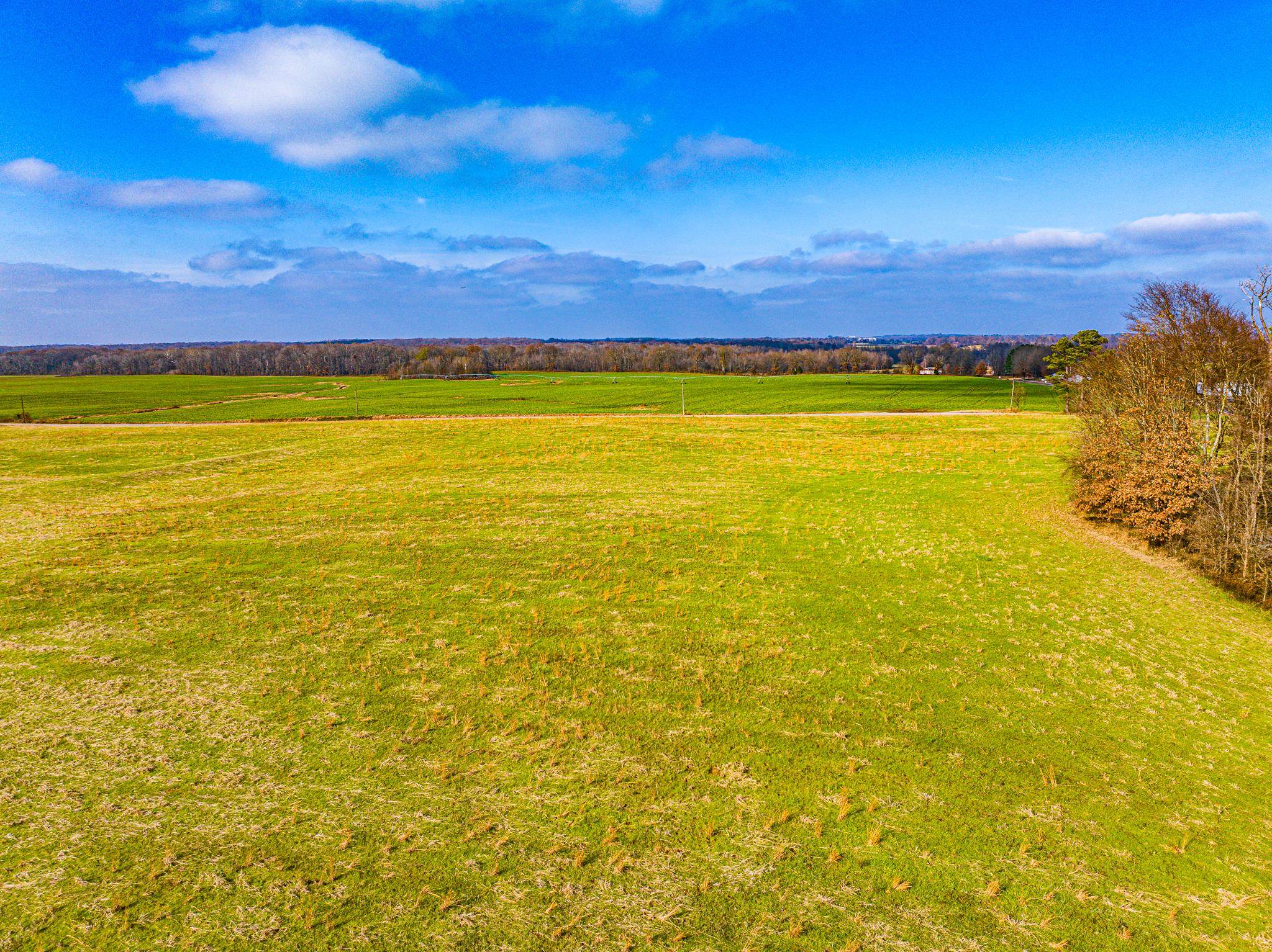 0 Como & Mckenzie Road McKenzie, TN 38201 - Photo 5 of 16 Mountain view with rural landscape