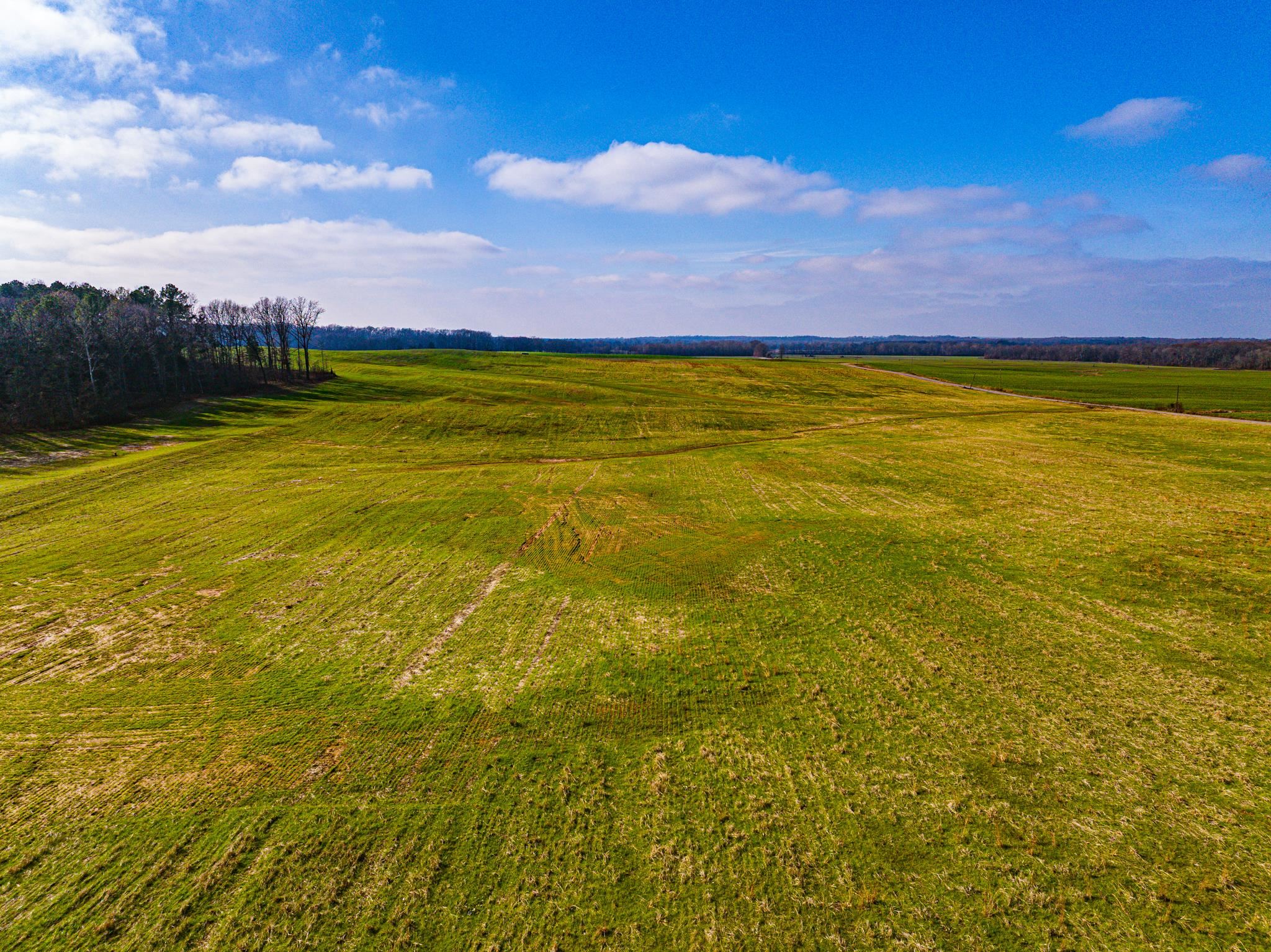 0 Como & Mckenzie Road McKenzie, TN 38201 - Photo 7 of 16 View of green lawn featuring a view of rural / pastoral area