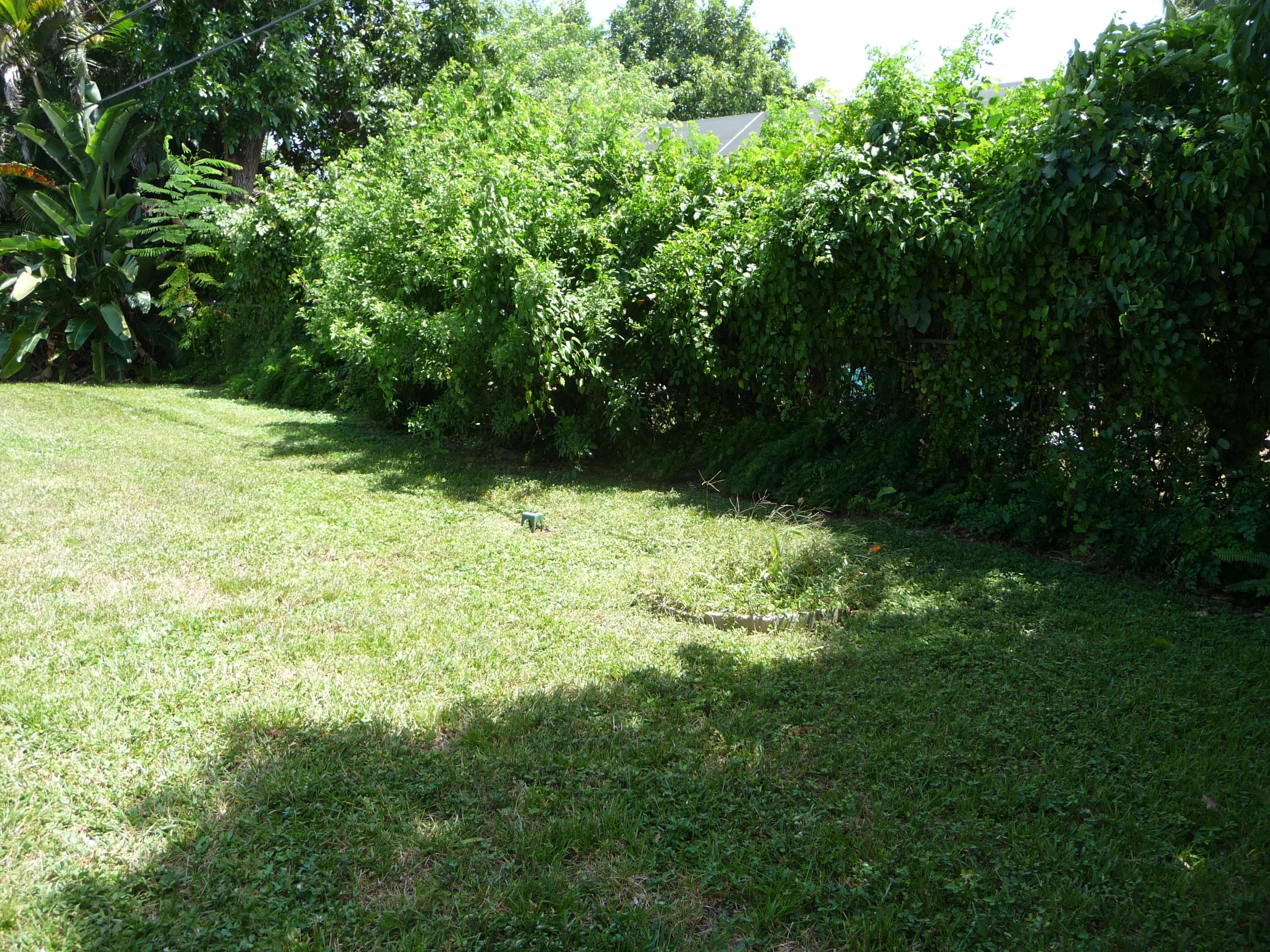Undisclosed Address Boca Raton, FL 33486 - Photo 10 of 11 Suggs Rear Yard 2
