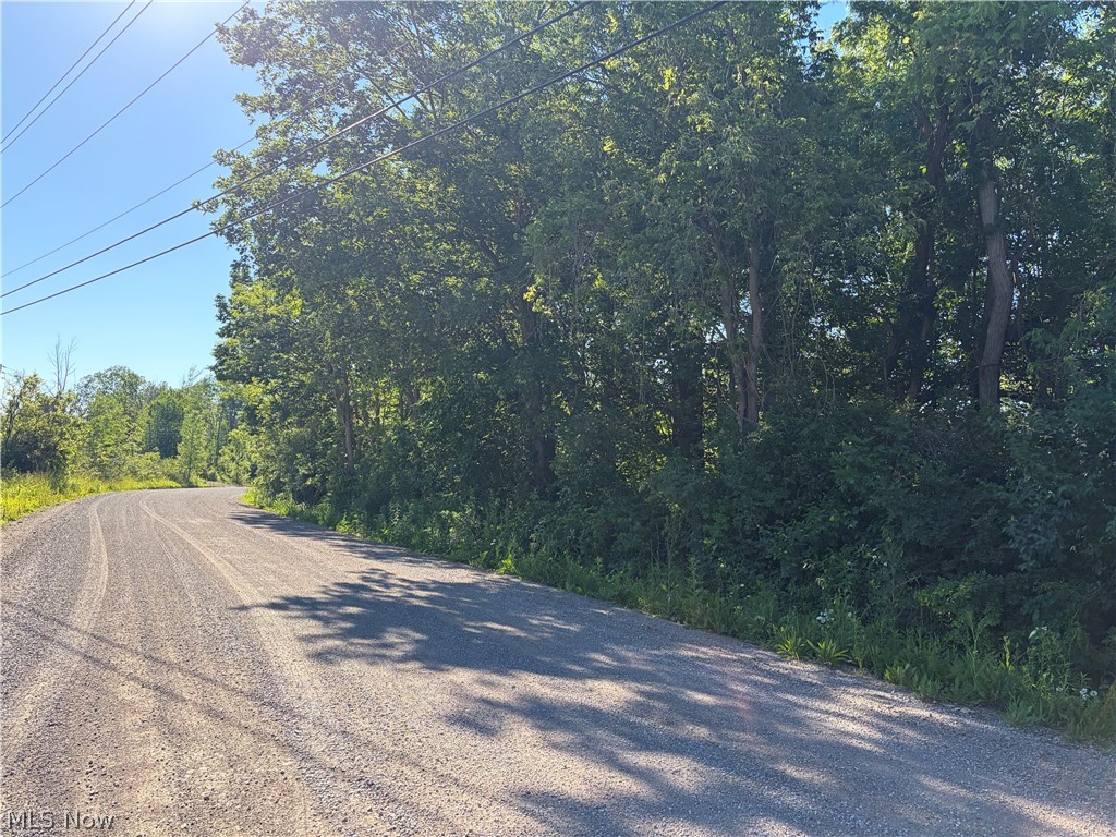 0 South Ridge Road West Conneaut, OH 44030 - Photo 3 of 3