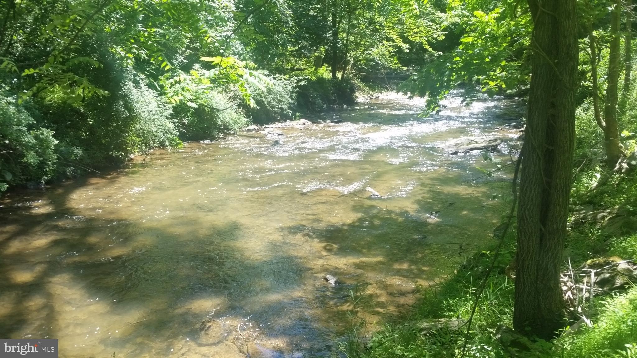 20309 Gore Mill Road Freeland, MD 21053 - Photo 11 of 25 Fly Fishing Anyone!?