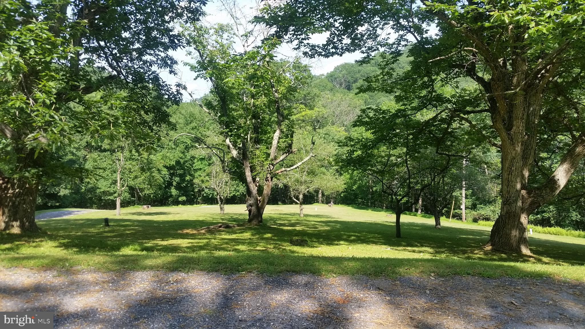 20309 Gore Mill Road Freeland, MD 21053 - Photo 3 of 25 Great Yard! Relax Or Practice Your Putting Skills
