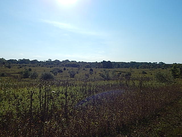 2857 Oakley Road Stockbridge, MI 49285 - Photo 12 of 27 DSCN1631