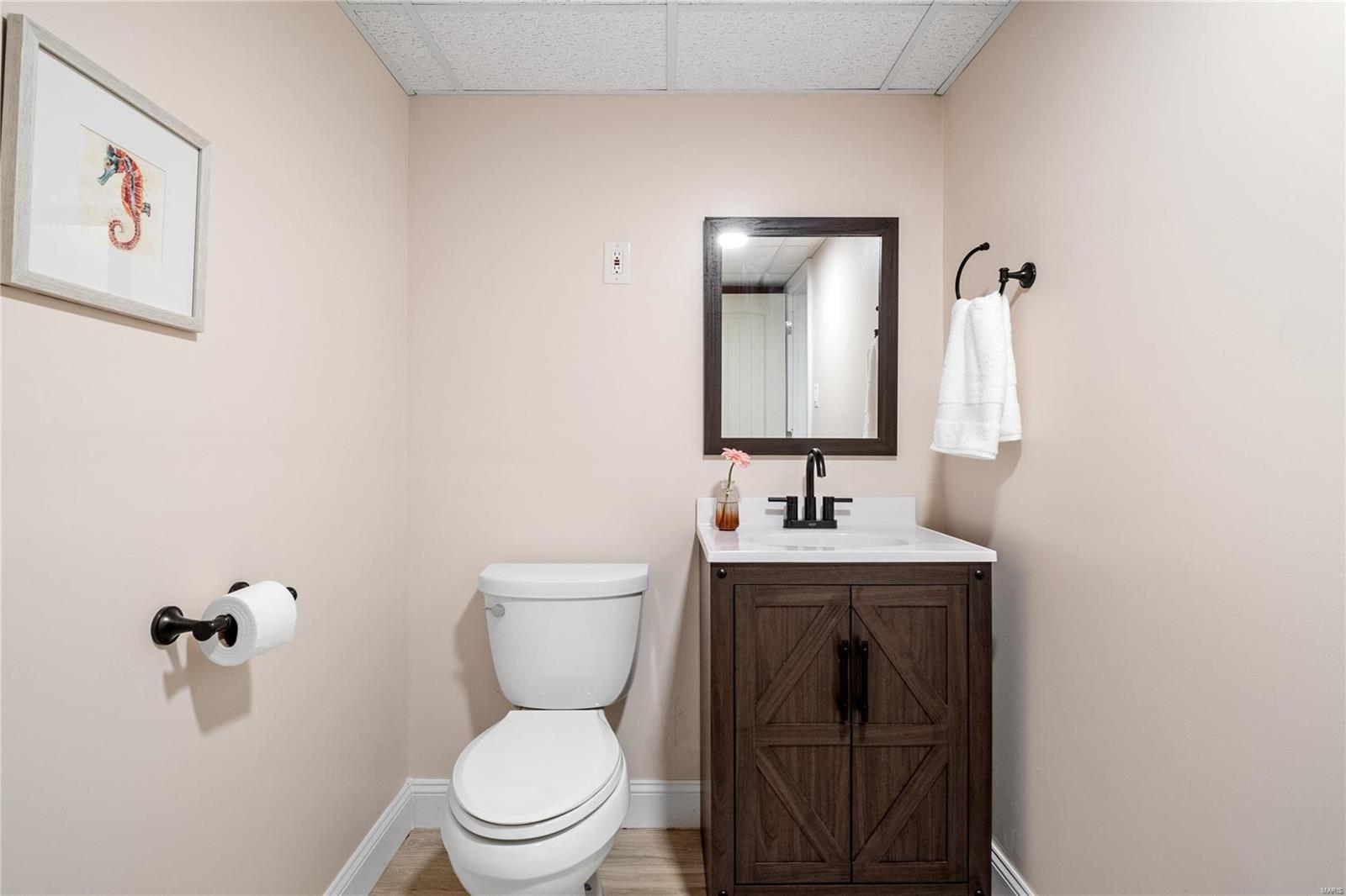 337 Meadowbrook Drive Ballwin, MO 63011 - Photo 53 of 58