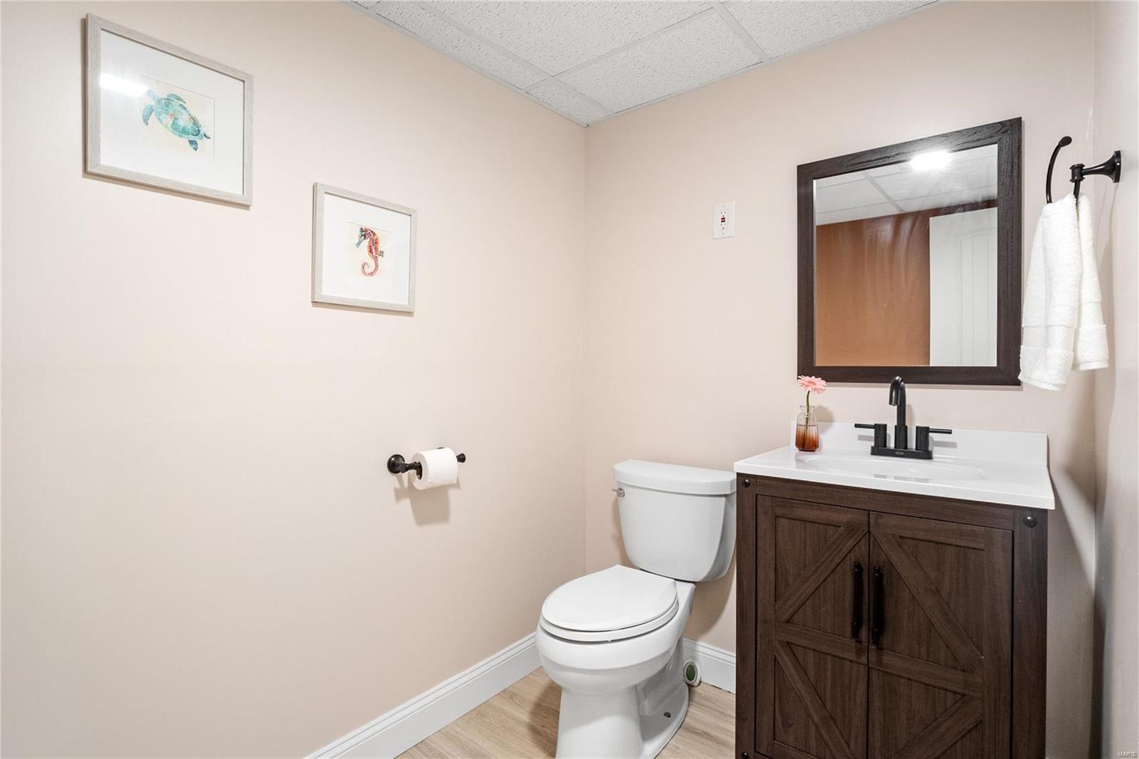 337 Meadowbrook Drive Ballwin, MO 63011 - Photo 54 of 58