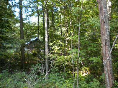 378 Old Gauley Road Livingston, KY 40445 - Photo 41 of 44 Photo 41
