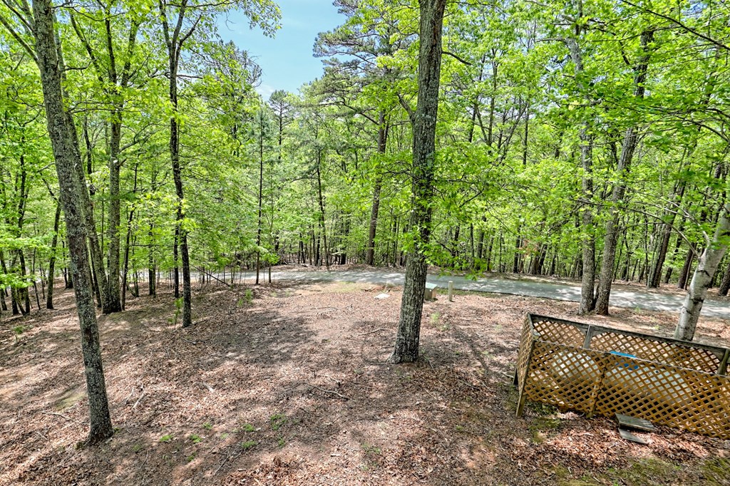 116 Wildwood Road Young Harris, GA 30582 - Photo 57 of 68