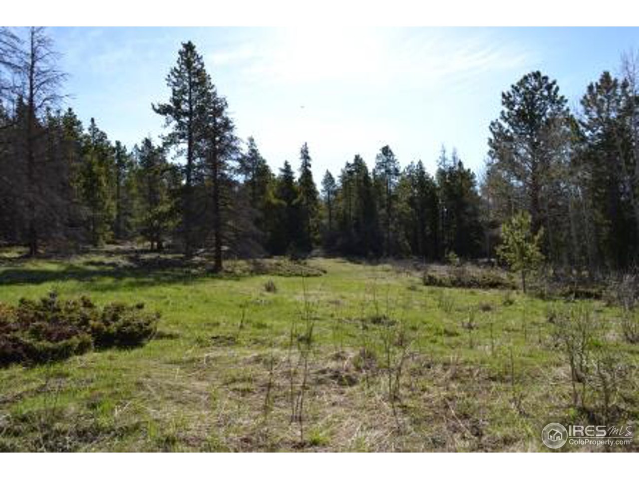 0 Basking Dog Road Bellvue, CO 80512 - Photo 1 of 20 Gallery Image 1