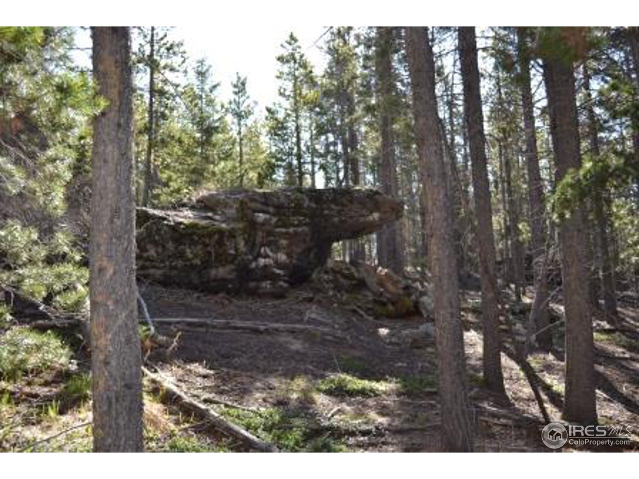 0 Basking Dog Road Bellvue, CO 80512 - Photo 15 of 20 Gallery Image 15