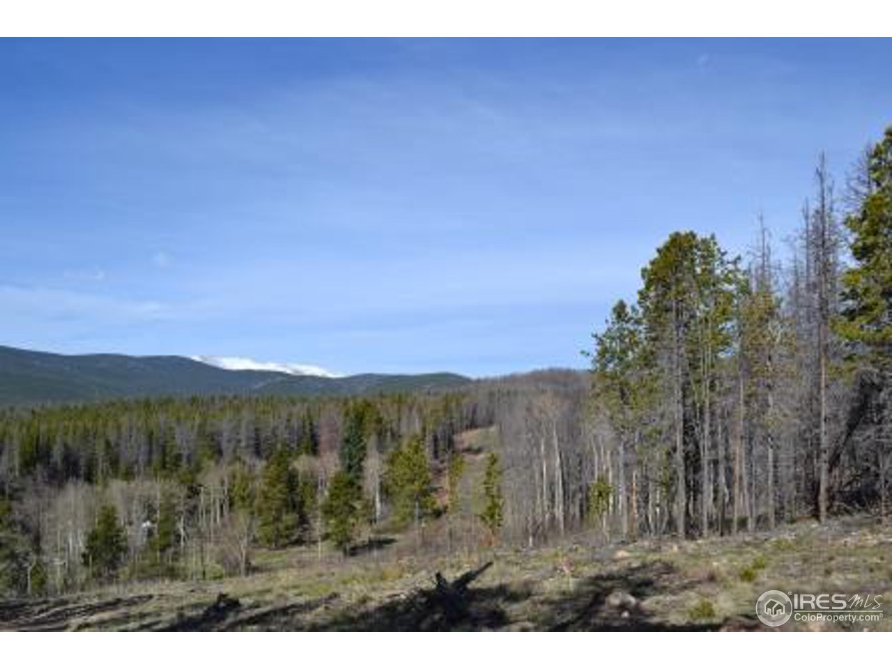 0 Basking Dog Road Bellvue, CO 80512 - Photo 5 of 20 Gallery Image 5