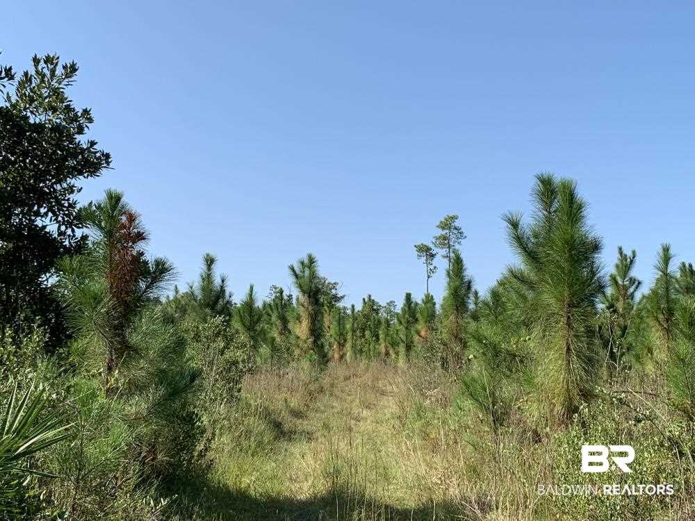 0 Three 3 Rivers Road Seminole, AL 36574 - Photo 27 of 27