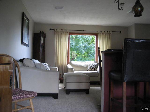 6007 Molasses Road Orefield, PA 18069 - Photo 14 of 30 Gallery Image 14