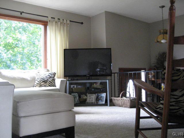 6007 Molasses Road Orefield, PA 18069 - Photo 15 of 30 Gallery Image 15