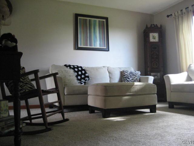 6007 Molasses Road Orefield, PA 18069 - Photo 16 of 30 Gallery Image 16