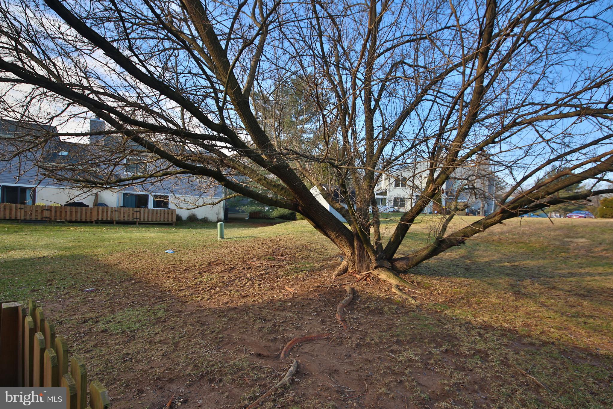 16 Ember Lane Horsham, PA 19044 - Photo 24 of 27 a view of a yard with tree s