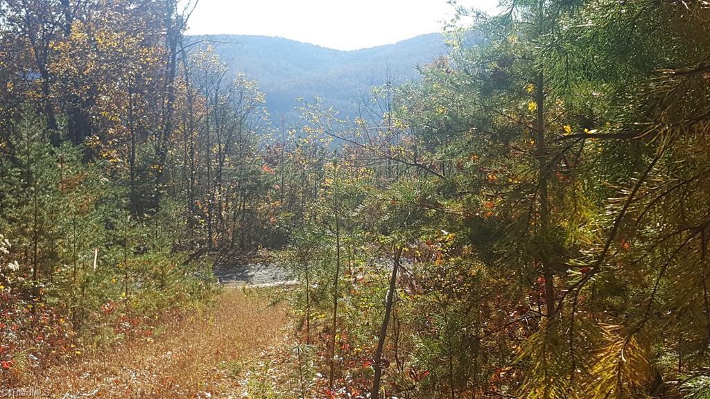 Tbd Casey Mountain Road Purlear, NC 28665 - Photo 1 of 13