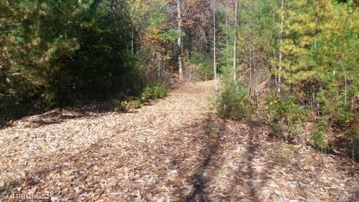 Tbd Casey Mountain Road Purlear, NC 28665 - Photo 11 of 13