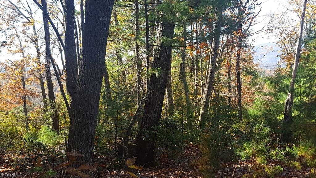 Tbd Casey Mountain Road Purlear, NC 28665 - Photo 3 of 13