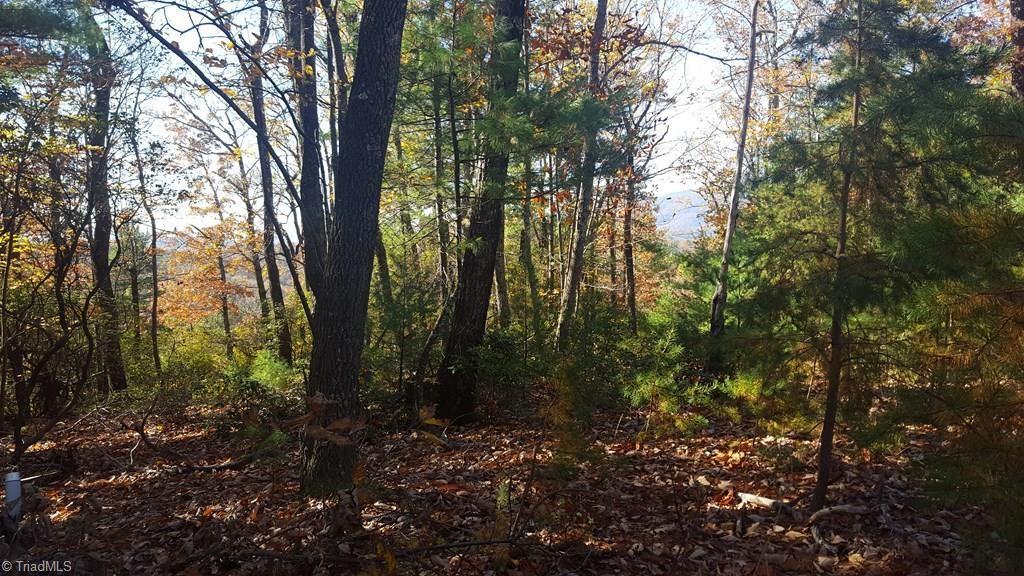 Tbd Casey Mountain Road Purlear, NC 28665 - Photo 4 of 13