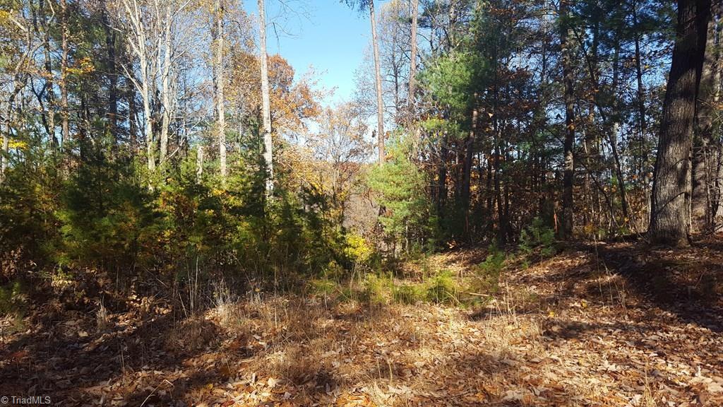 Tbd Casey Mountain Road Purlear, NC 28665 - Photo 5 of 13