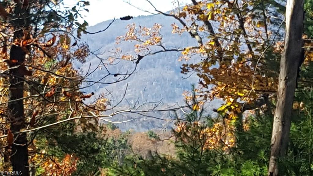 Tbd Casey Mountain Road Purlear, NC 28665 - Photo 6 of 13